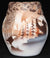 Cedar Mesa Pottery Calling The Spirits 4.5 x 5.5 Vase - 69021