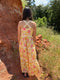 Myra Adelaide Blossom Dress BSE-11091