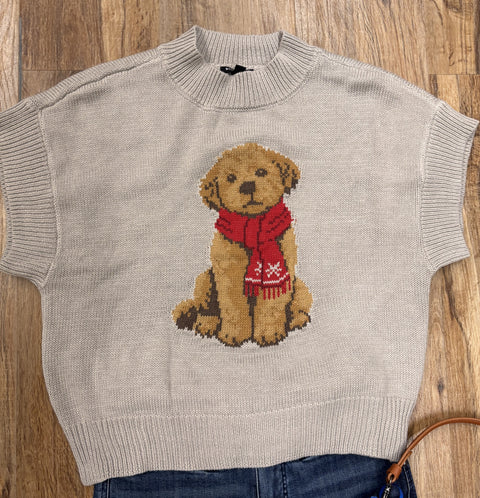 Teddy Bear Short-Sleeve Sweater #217