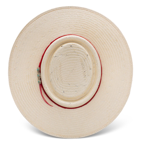 Charlie 1 Horse Hat Painted Borders Hat CSPNTB-2540