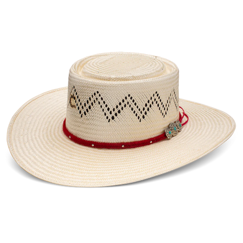 Charlie 1 Horse Hat Painted Borders Hat CSPNTB-2540