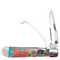 CA20-57 Fiesta Hoofpick