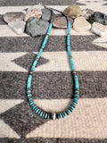 HALEY TURQUOISE & NATIVE BEADED NECKLACE DN